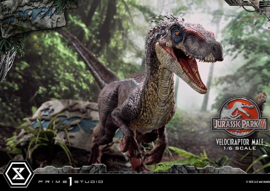 Prime 1 Studio | Jurassic Park 3 - Velociraptor Male - Statuette Legacy Museum 40Cm