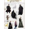 SD Toys | Harry Potter - Real Characters - Set A - Set D'Aimants