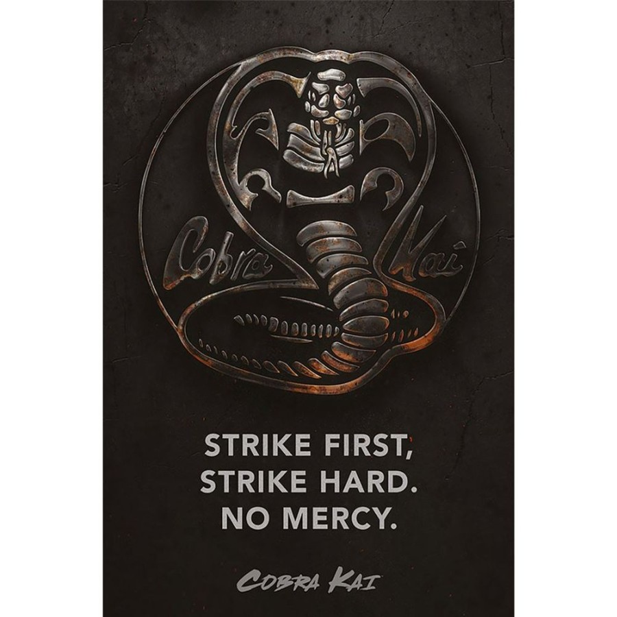 Pyramid | Cobra Kai - Metal - Poster 61 X 91Cm