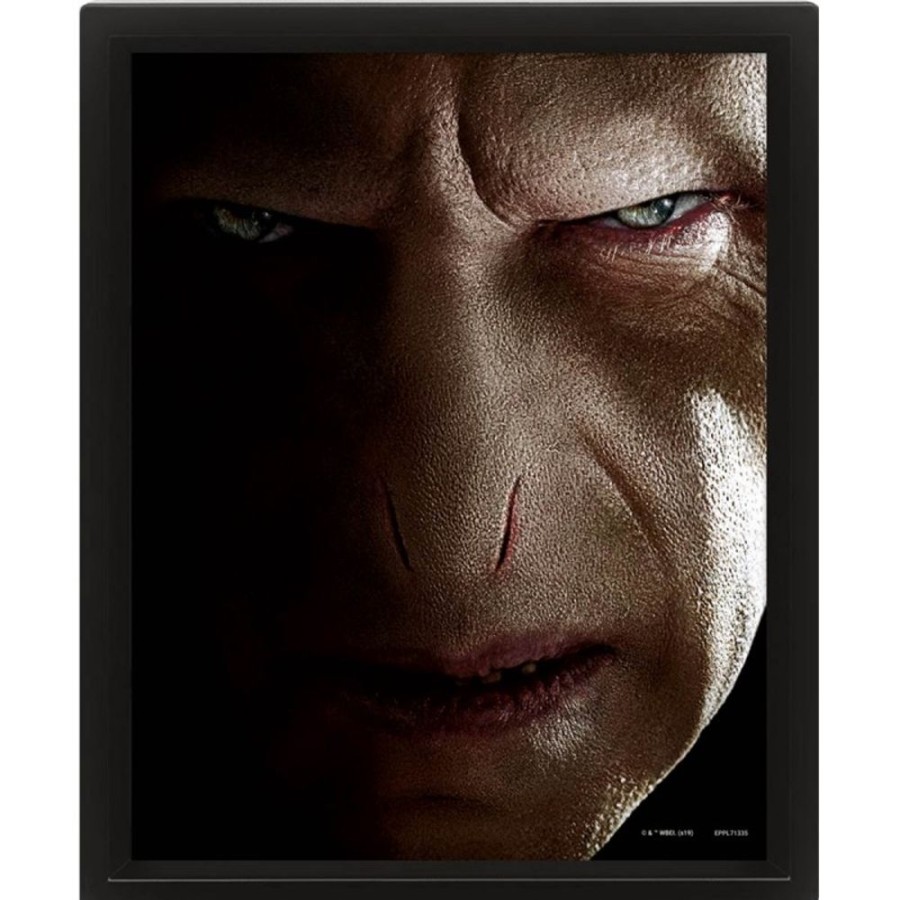 Pyramid | Harry Potter - Harry Vs Voldemort - Poster Lenticulaire 3D 26X20Cm