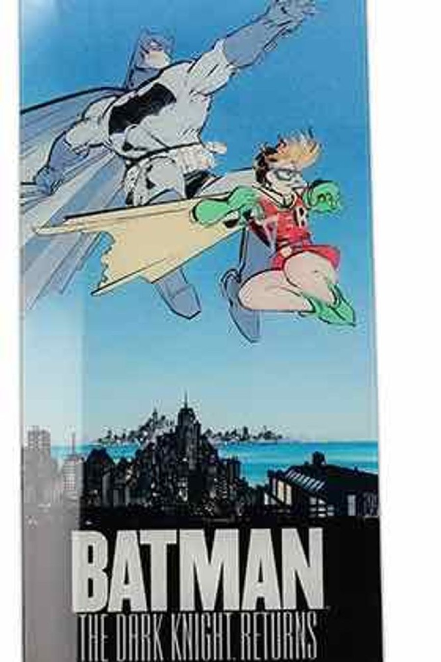 SD Toys | Dc - Poster En Verre - Batman Et Robin - 61X31X3Cm