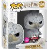 Funko | Harry Potter - Pop N° 104 - Buckbeak - Special Edition