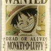 Teknofun | One Piece - Luffy - Neon Mural Led - 30 Cm