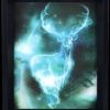 Pyramid | Harry Potter - 3D Lenticular Poster 26X20 - Expecto Patronum