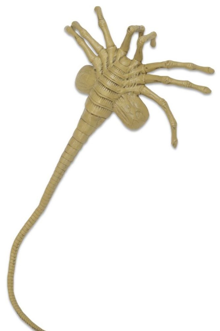 Neca | Aliens - Facehugger En Mousse - Replique 1/1 105Cm